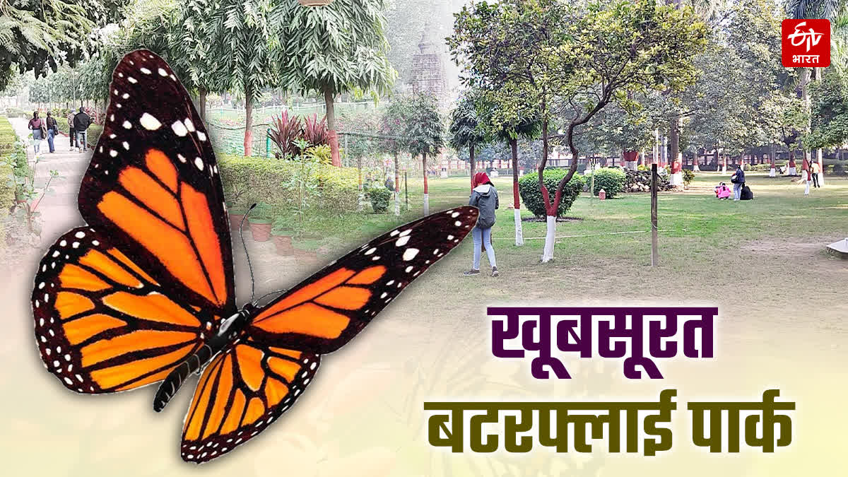Butterfly Park In Gaya