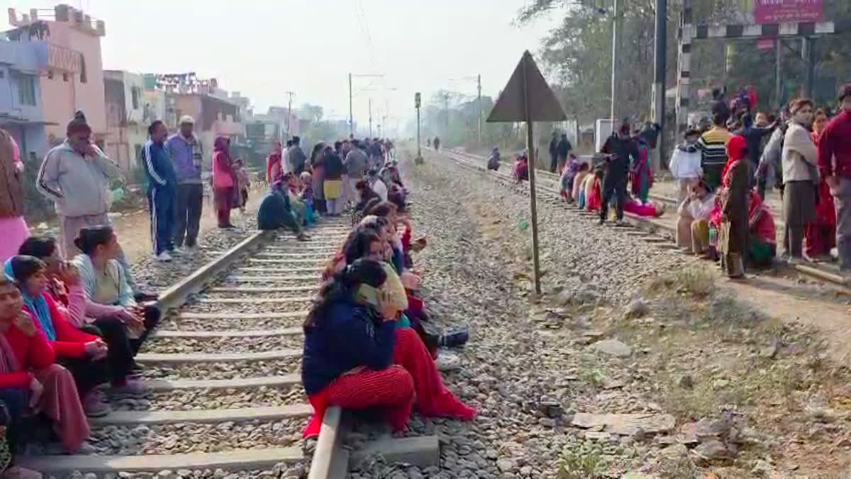 Rishikesh forest land demarcation