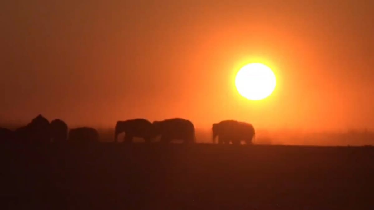 last sunset of the year in Majuli
