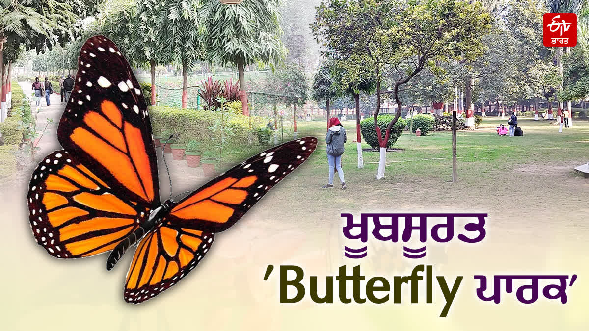 Butterfly park gaya