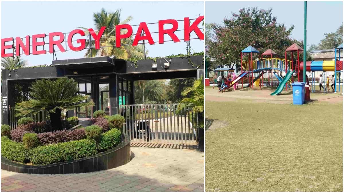 raipur new year energy park