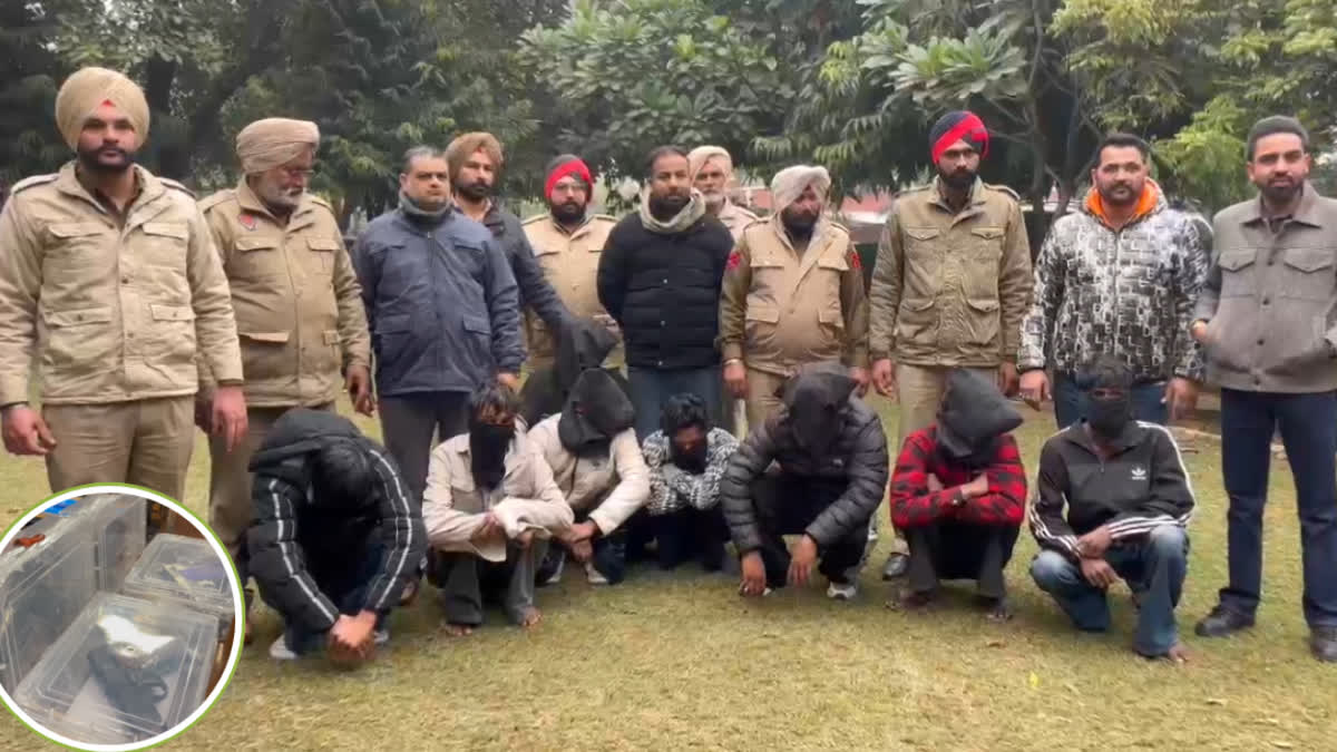 Patiala Police arrests 8 gang members