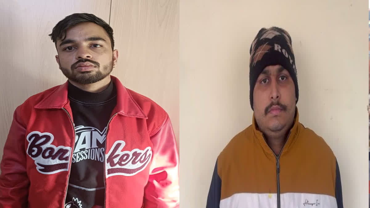 Cyber fraudster arrested