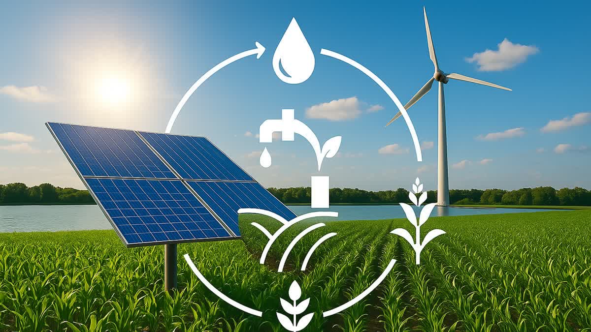 Representational Image