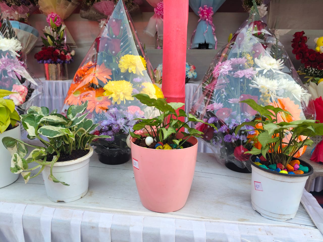 Huge crowd in flower shop to wish New Year