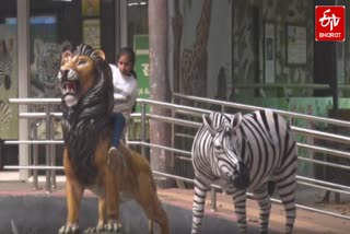 लखनऊ जू में बना सेल्फी पॉइंट व म्यूजियम