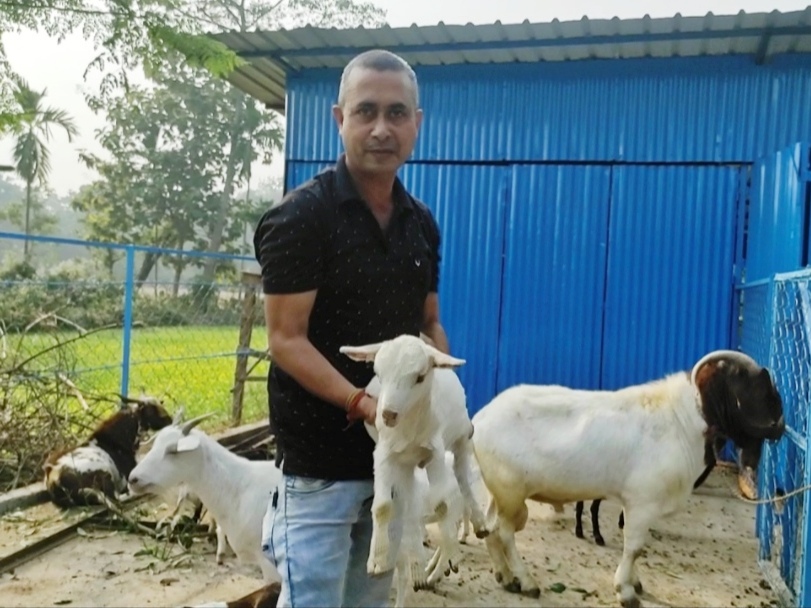 Goat Farming at Kaliabor