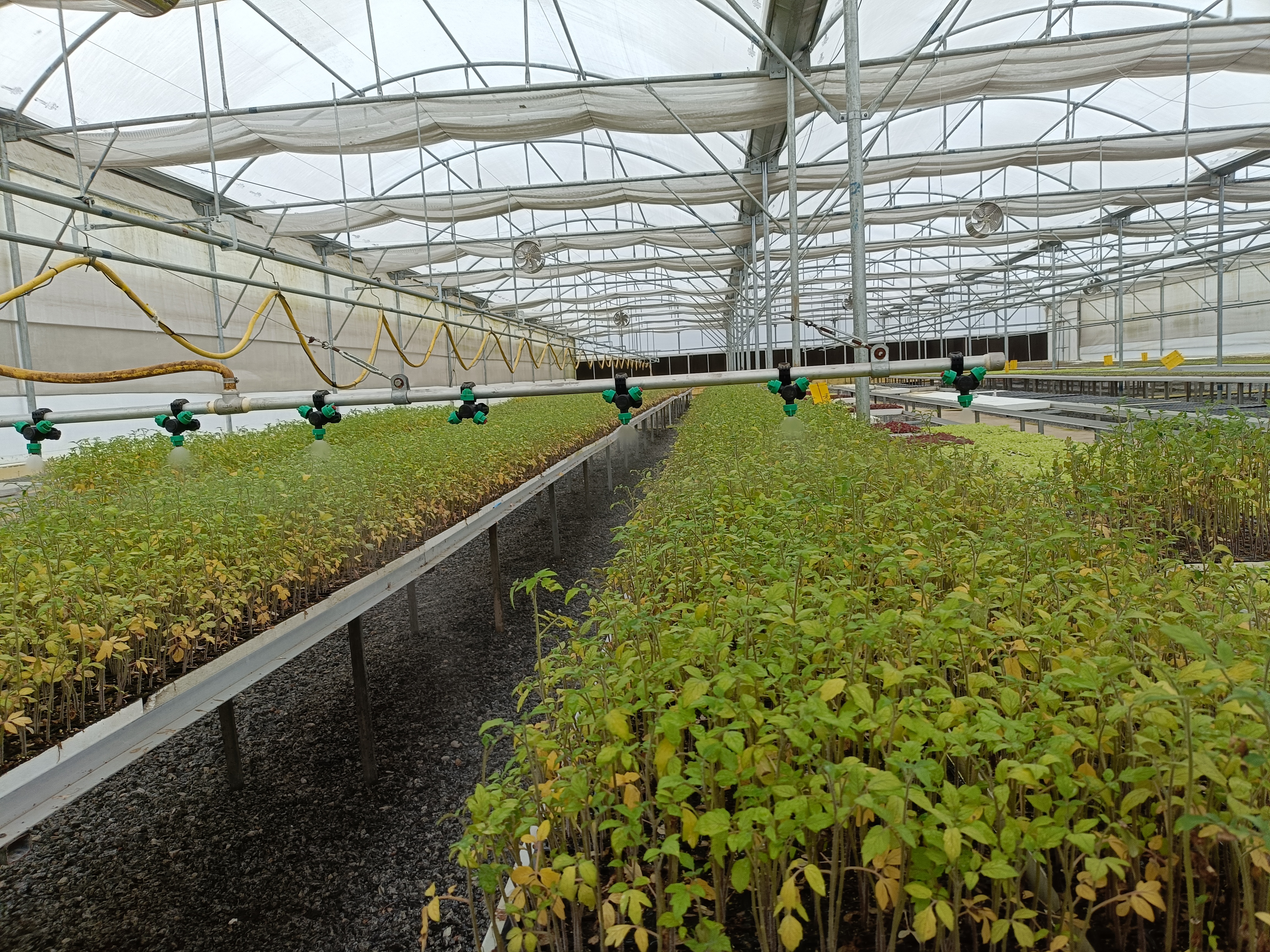 Some information about the Centre of Excellence for Vegetables in Khetri