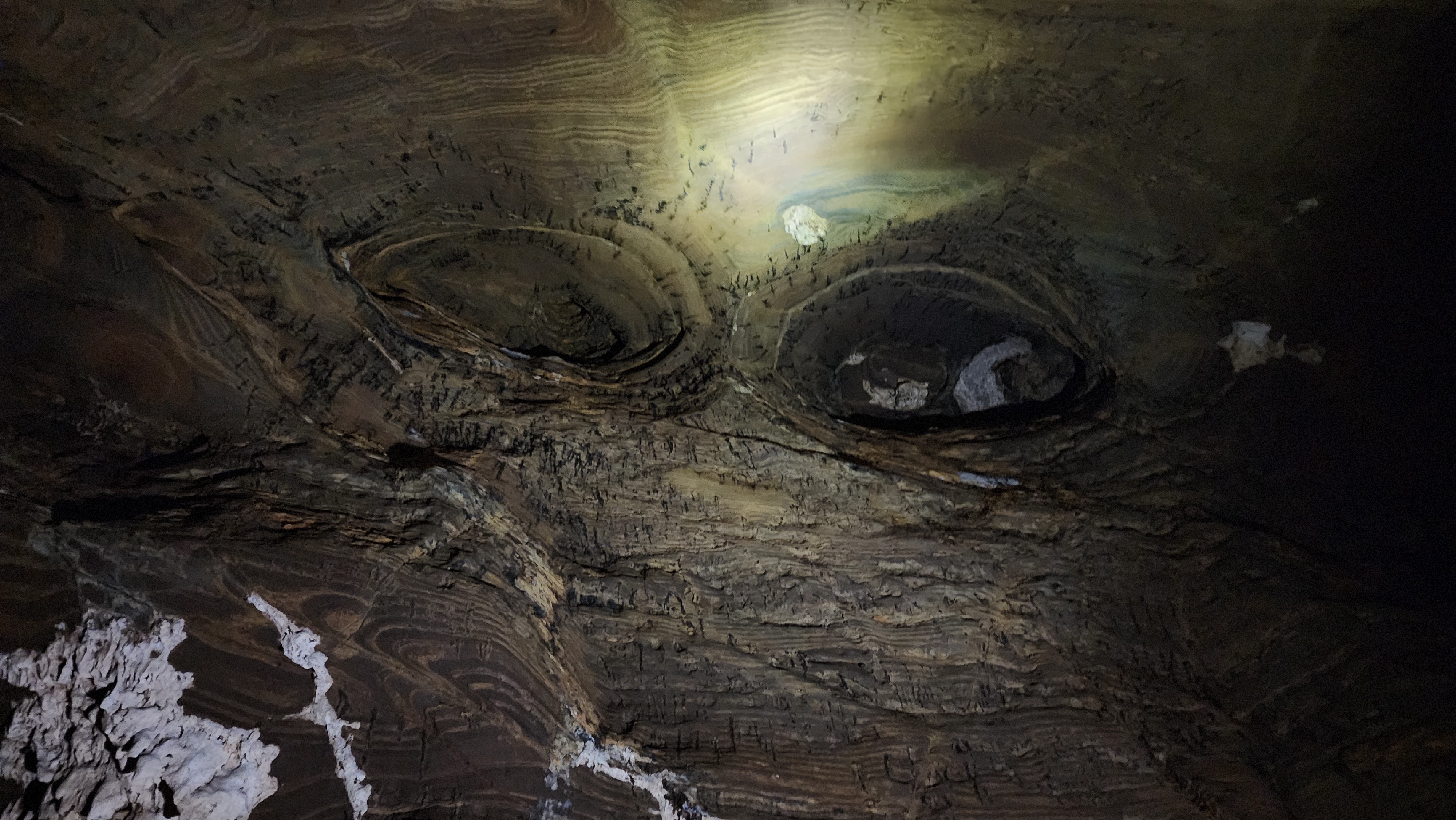 Kutumsar cave is famous for blind fishes