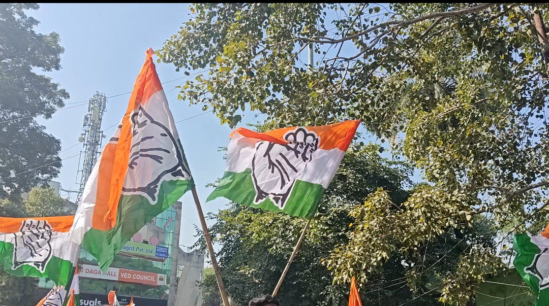 Nagpur Municipal Corporation elections independent candidates