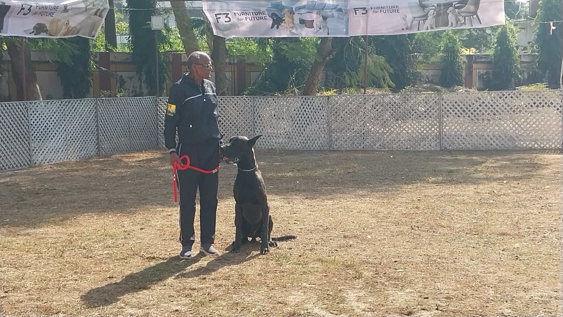Jabalpur dogs training session