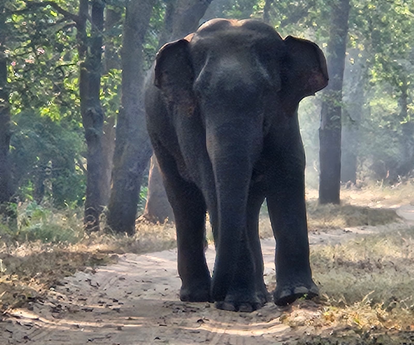 UMARIA BANDHAVGARH TIGER RESERVE