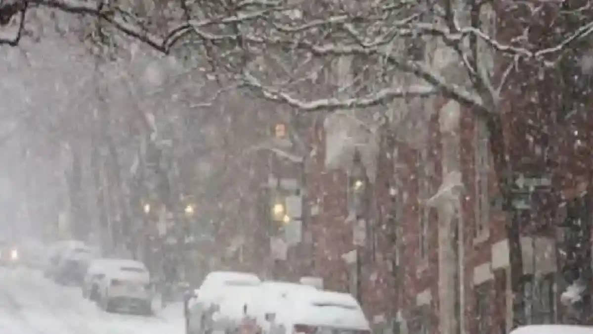 Shimla receives season's first snowfall, over 566 roads blocked in Himachal due to rain, snow Shimla receives season's first snowfall