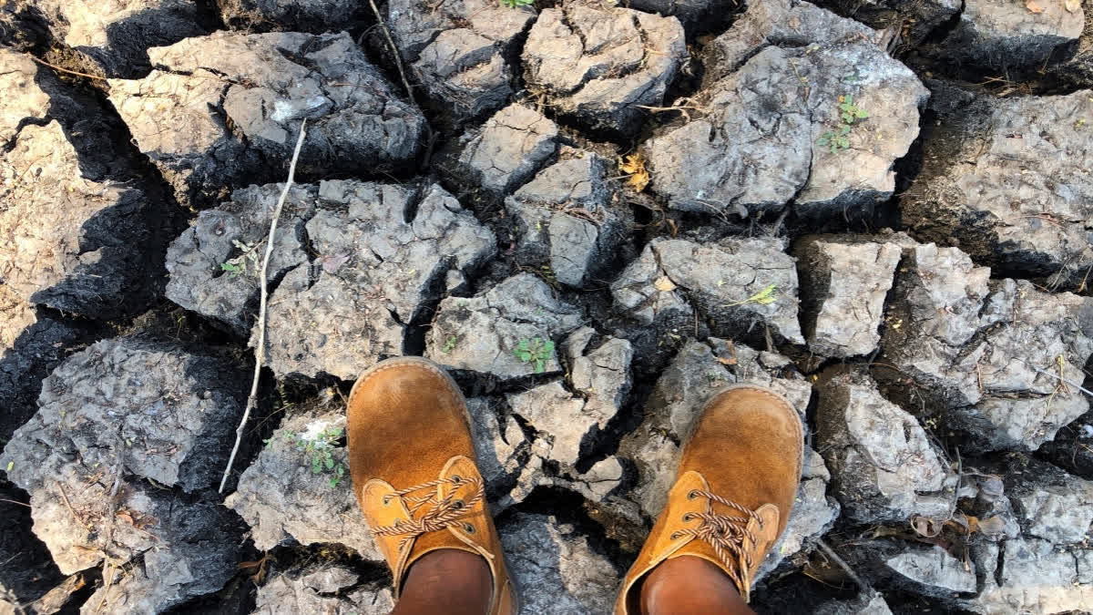 Along with chronic groundwater depletion, overallocation, land degradation, deforestation, and pollution—all exacerbated by global heating—a new UN report declares the dawn of an era of global water bankruptcy. It urges world leaders to facilitate “honest, science-based adaptation to a new reality.”