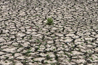 Global Water Bankruptcy