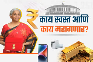 What became cheaper and what became more expensive