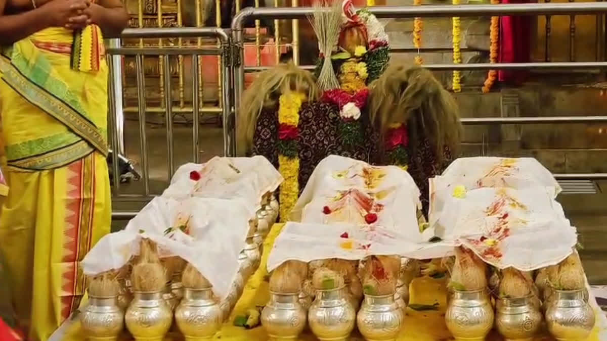 YADADRI SRI LAKSHMI NARASIMHA SWAMY BRAHMOTSAVAM