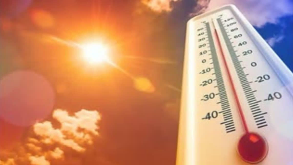 Haryana Weather Update