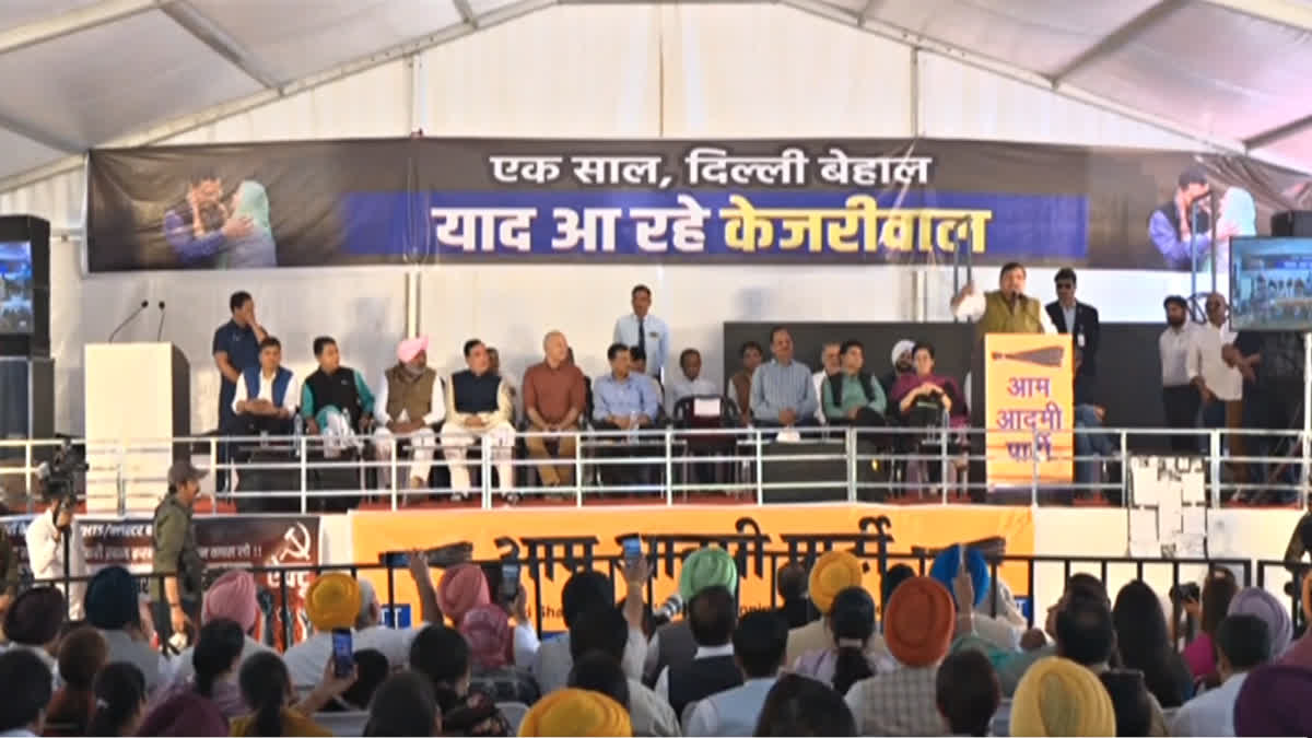 દિલ્હીના જંતર-મંતર પર આમ આદમી પાર્ટીની રેલી