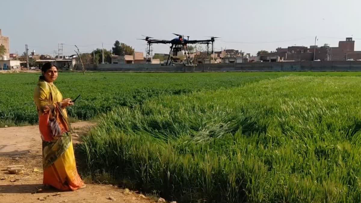 DRONE DIDI BIMLA SINWAR