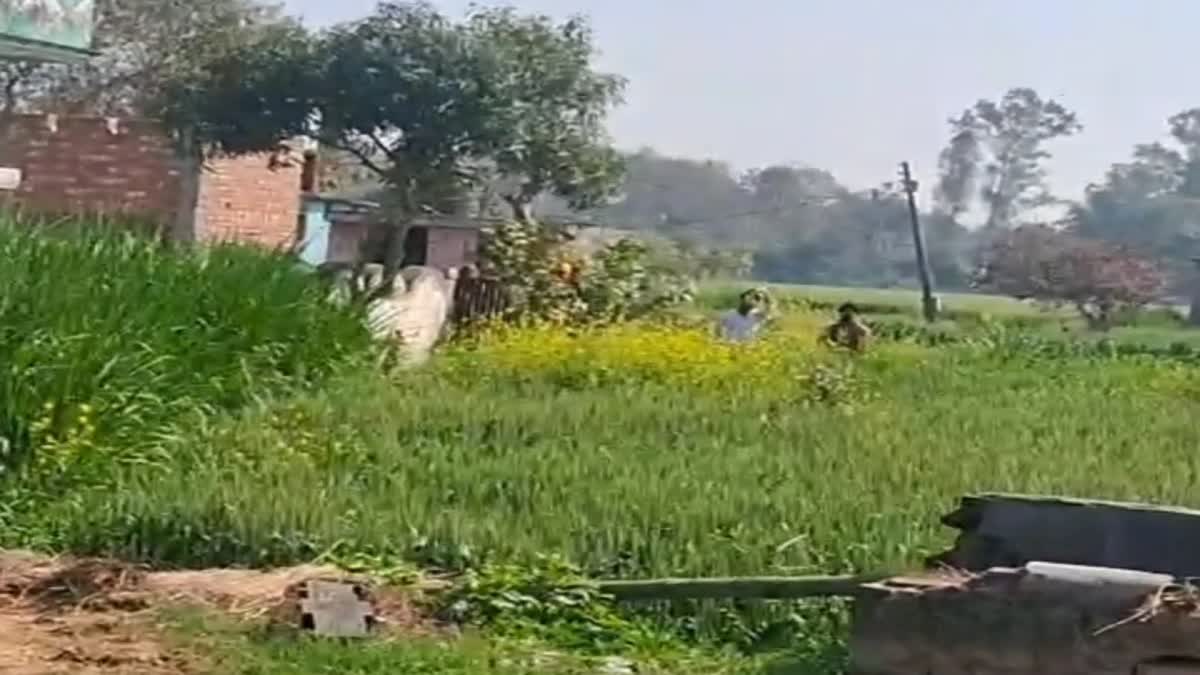 Peerumadara Thari Village