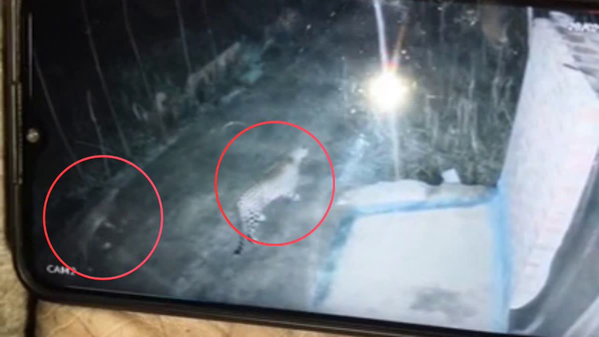 सीसीटीवी फुटेज