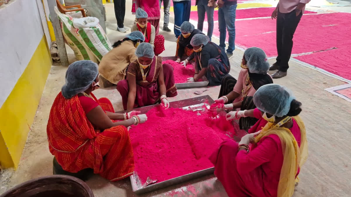 Beedi Makers To Producers: Journey Of Bihar's Nature Didis To Self-Sufficiency