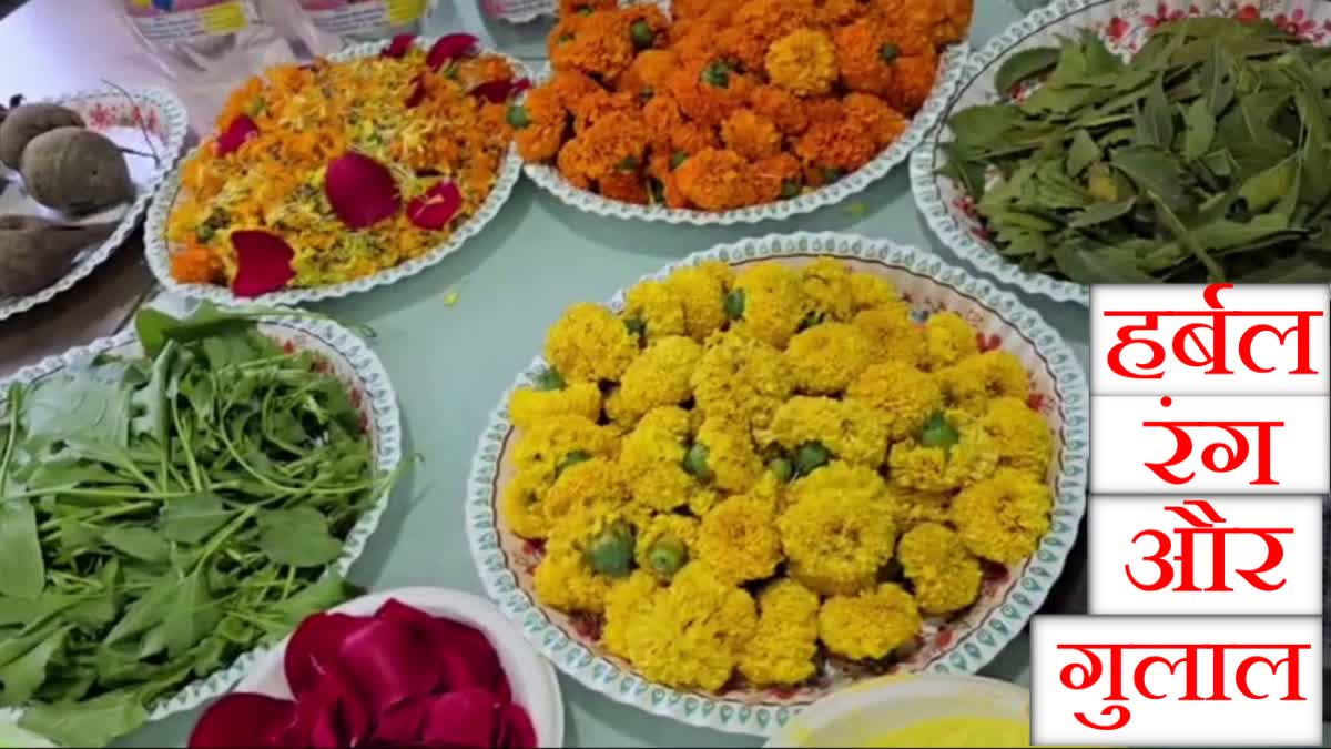 Herbal gulal made in Palamu