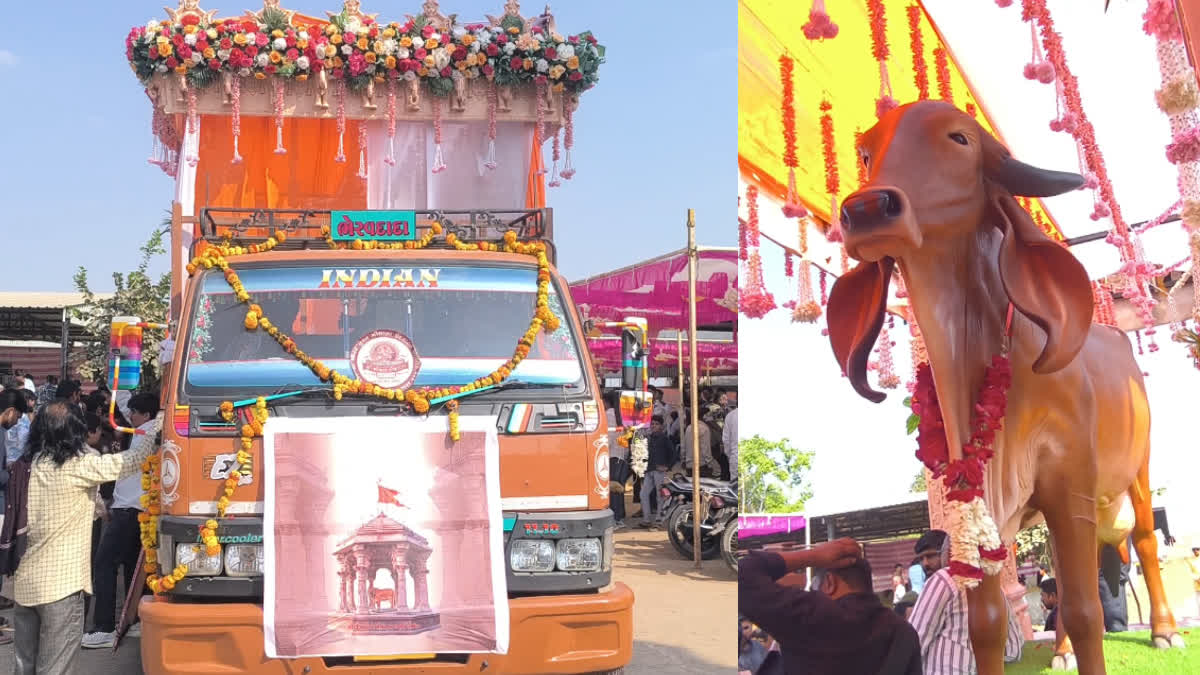 સુરેન્દ્રનગરમાં પ્રથમ વખત ગૌ વંદના યાત્રાનું ભવ્ય આયોજન