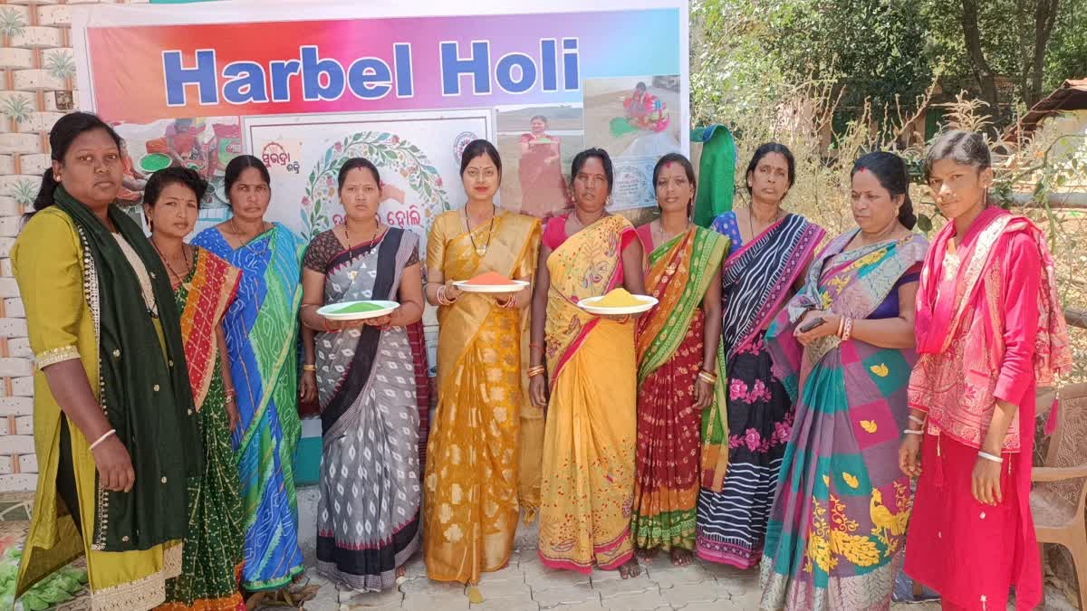 Natural Holi Colours Making