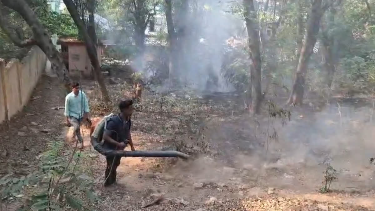 FOREST DEPT FIRE FIGHTING