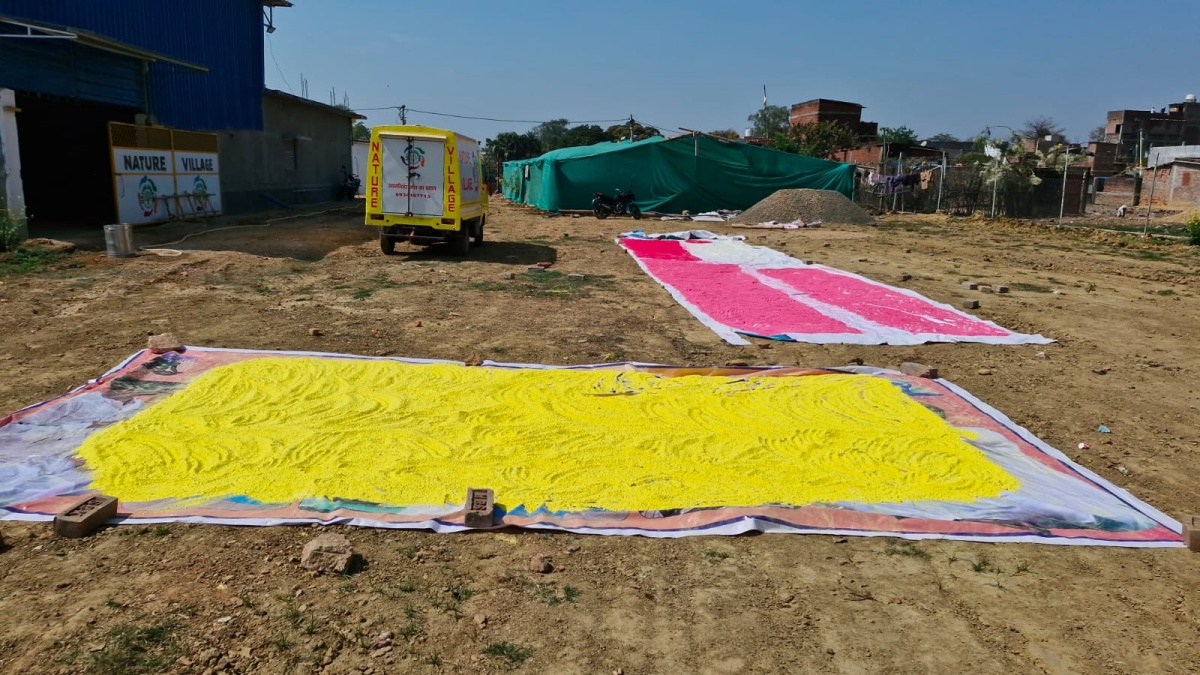 Beedi Makers To Producers: Journey Of Bihar's Nature Didis To Self-Sufficiency