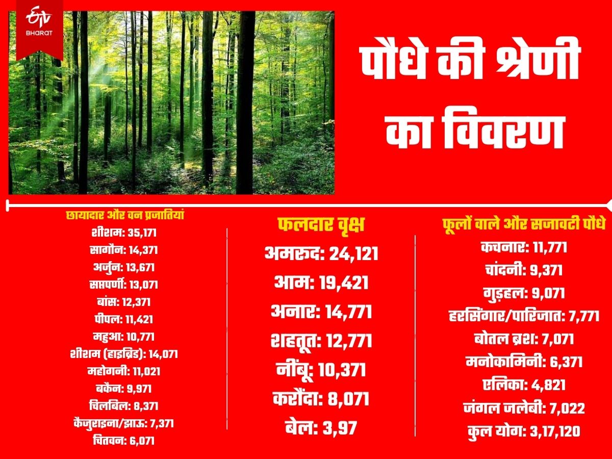 यह पौधे लगेंगे.