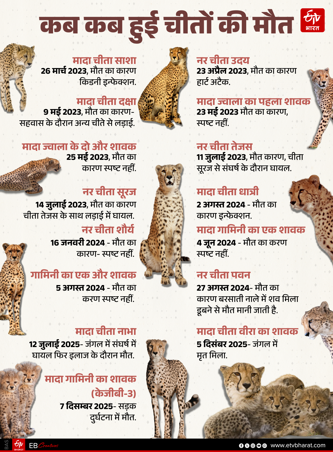 9 CHEETAHS ARRIVED FROM BOTSWANA