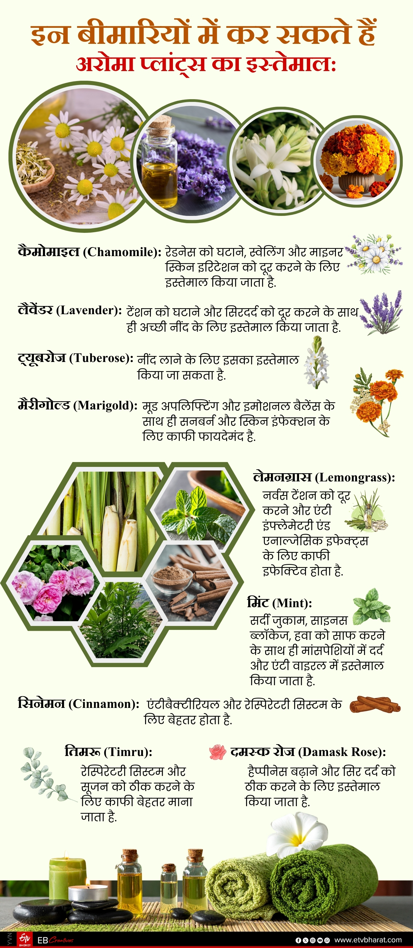 https://imgs.etvbharat.com/etvbharat/prod-images/01-03-2026/26149654_aromatherapy-treatment--_-info.jpg