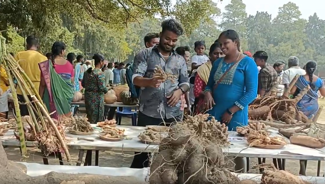 கிழங்குகள்