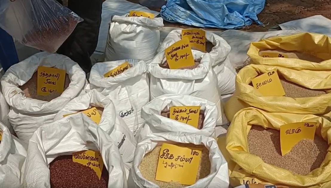 நெல் மற்றும் தானியங்கள்