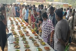 சிறப்பு கண்காட்சியில் வைக்கப்பட்ட காய்கறிகள்