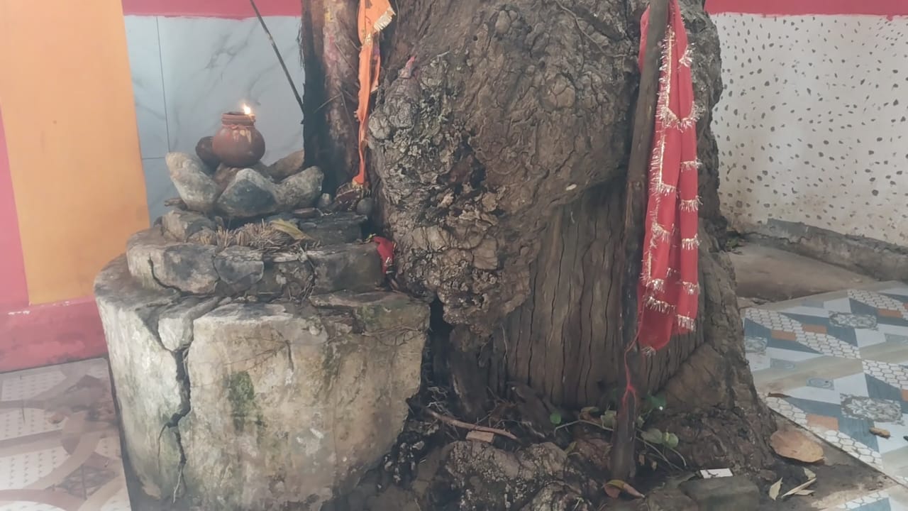 Unique Nikari tradition