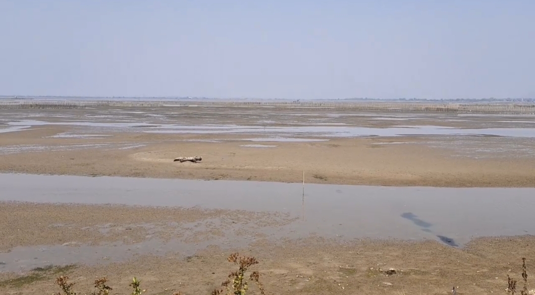 Bahuda Satellite Port