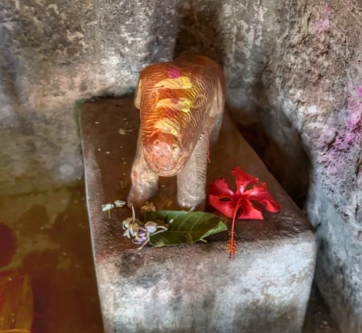 DOG TEMPLE BALOD