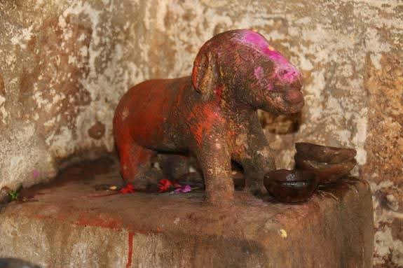 DOG TEMPLE BALOD