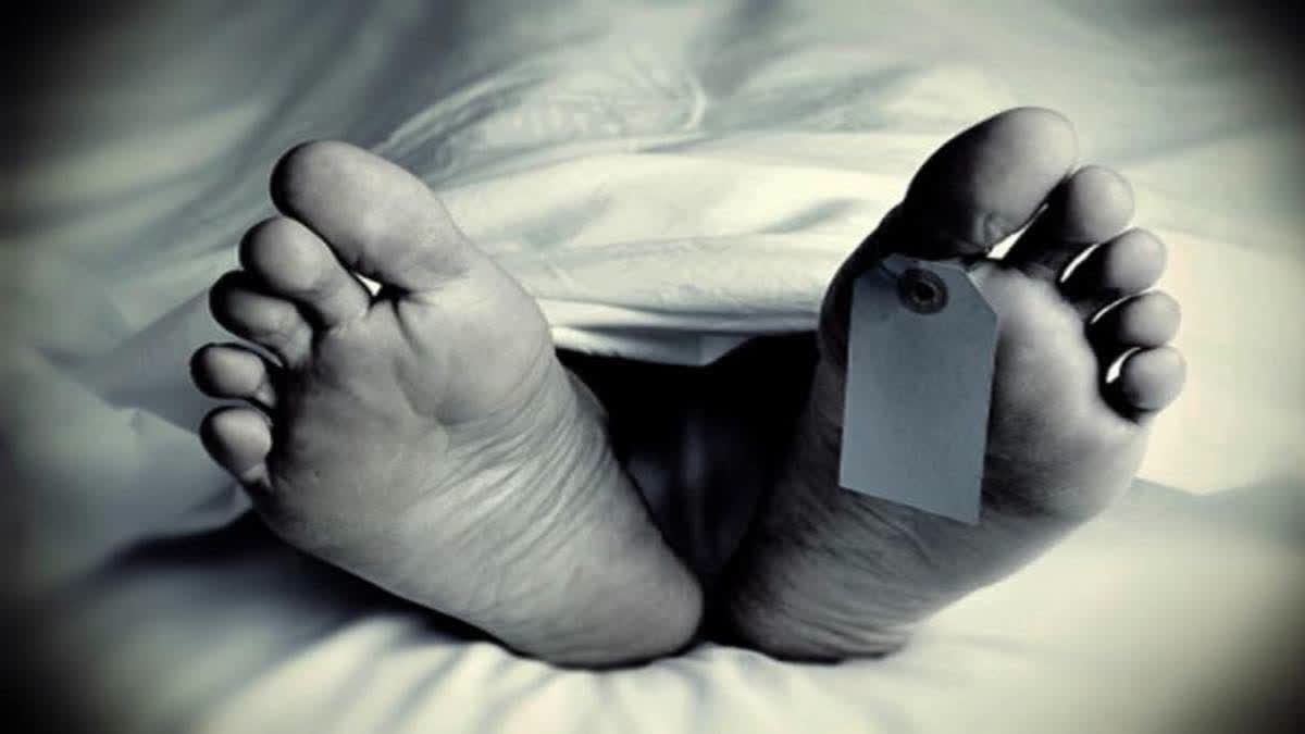 ETV Bharat News - Other - News Image