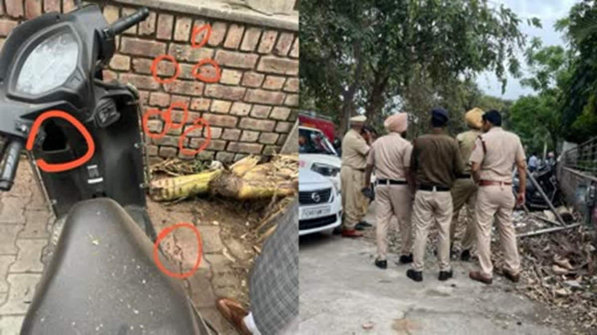 ETV Bharat News - Politics - News Image