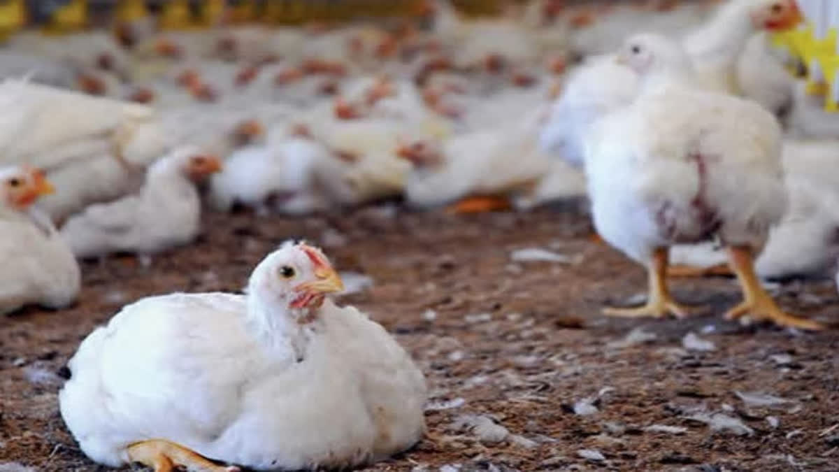 ETV Bharat News - Other - News Image