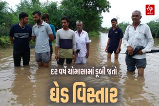 દર વર્ષે ચોમાસામાં ડૂબી જતો ઘેડ વિસ્તાર
