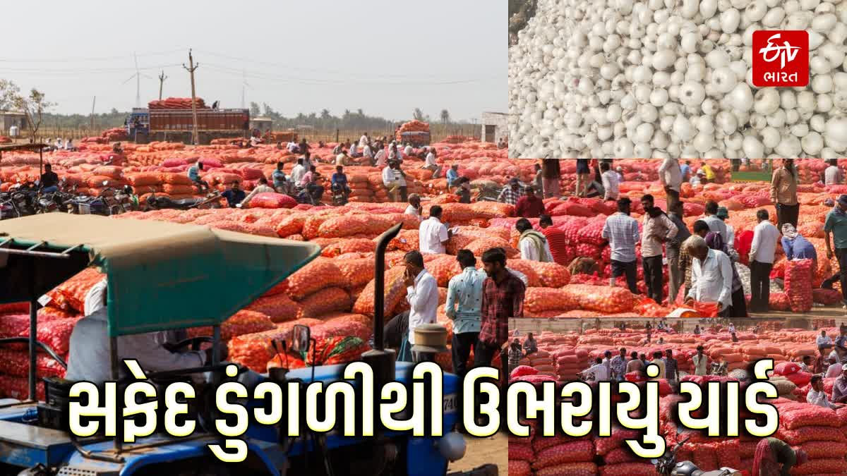Bhavnagar News ભાવેણુ - ShareChat