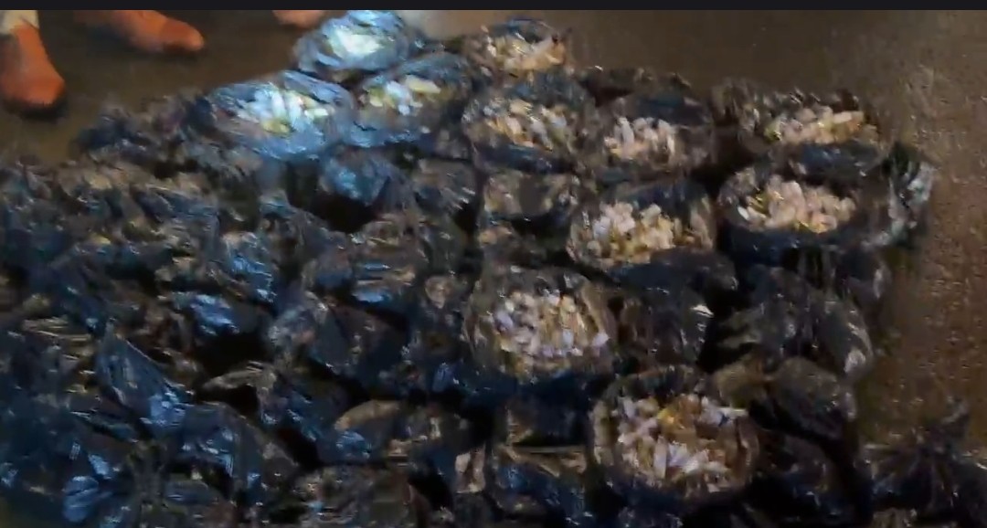 drug at Indo Nepal border