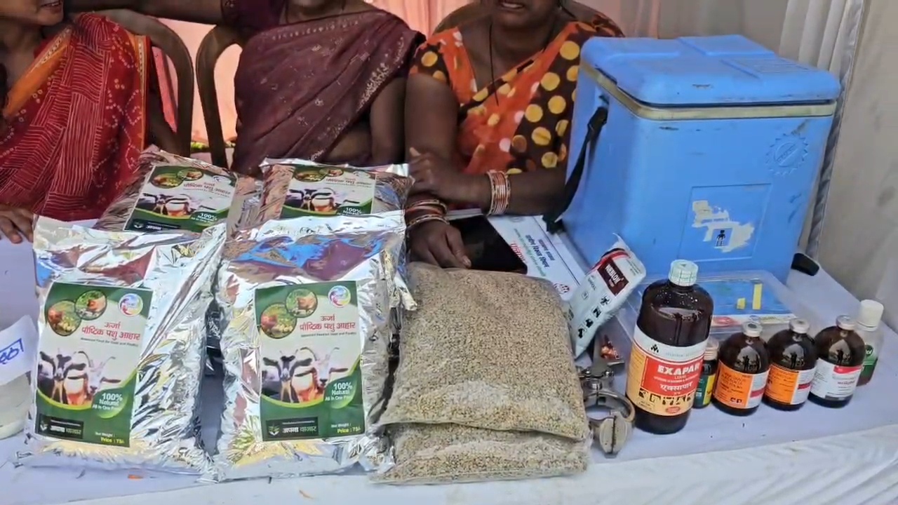 Rural women preparing organic manure for farmers in Hazaribag