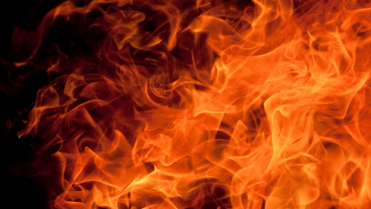 Fire Breaks out at Dingu Forest of Himachal's Bilaspur Fire Breaks out at Dingu Forest of Himachal's Bilaspur